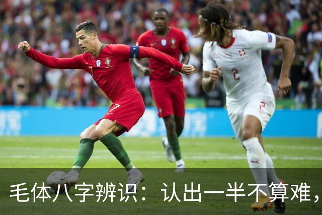 毛体八字辨识：认出一半不算难，读懂这三处笔意才是真功夫