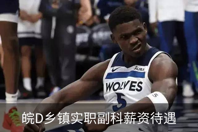 皖D乡镇实职副科薪资待遇