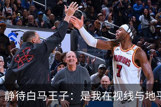 静待白马王子：是我在视线与地平线之间为你留出的可调节焦距